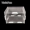 Jumping Spider Acrylic Display Cases Reptile Enclosure Cage Box Acrylic Spider Enclosure for Tarantula