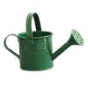 Kettle Ornament Drop-resistant Opening Design Creative Decorative Galvanized Iron Flower Planting Pot Watering Can Home Garden KTY