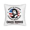 Remember Chuck Norris Throw Pillow Cover Polyester Decorative Pillow   Creative Pillowcase