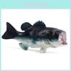 Игрушка-модель рыбы Lateolabrax Japonicus из пластика для декора морского аквариума