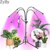 5V USB Red Blue Full Spectrum LED Plant Grow Light Fitolampy Dimmable Timed for Flower VEG Seedling Waterproof Grow Phyto Lamp
