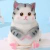 Cartoon Simulation Cat Squeeze Toys Slow Rebound Cat Fidget Toy Big Cat Doll Squeeze Toy  Adults