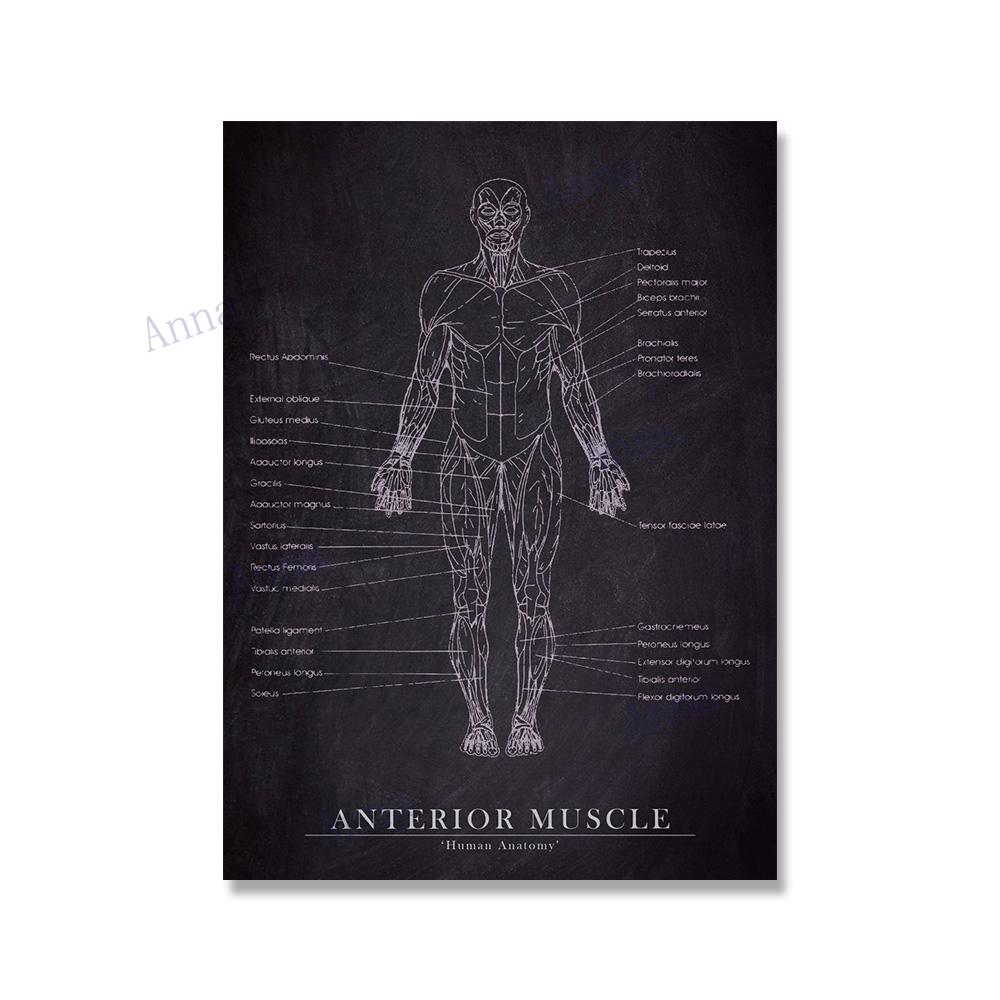 Muscle Foot Bone Heart Anatomy Skeleton Wall Art Canvas Painting Nordic Posters And Prints Wall Pictures For Doctor Office Decor