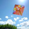 Manufacturer 1 Meter Printed Multi-tail Kite Triangular Kite Handmade