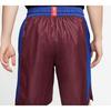 Nike Баскетбольные шорты Colorblock Мужские шорты Красно-коричневые BV9293-681