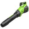 Greenworks Cordless Blower CN plug (adapter included)