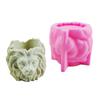 Geometric Lion-Head Gypsum Silicone Molds Storage Box Mold for Making Succulent Plant  Flower  Candle Holder