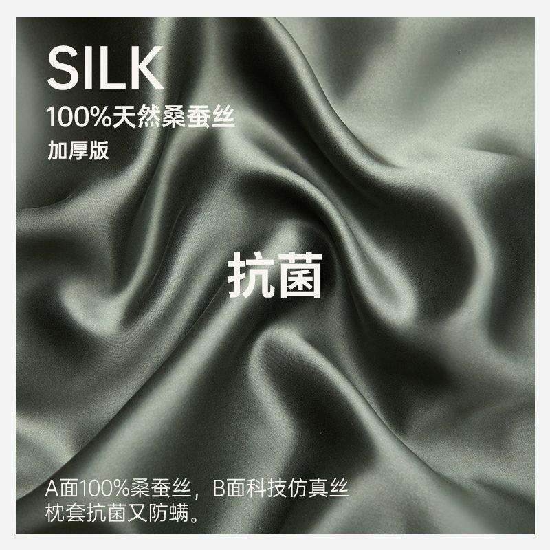 Silk Pillowcase 100% Mulberry Anti-Bacterial Anti-Dust Mite Hair Care Luxury Home Bedding Single Pair