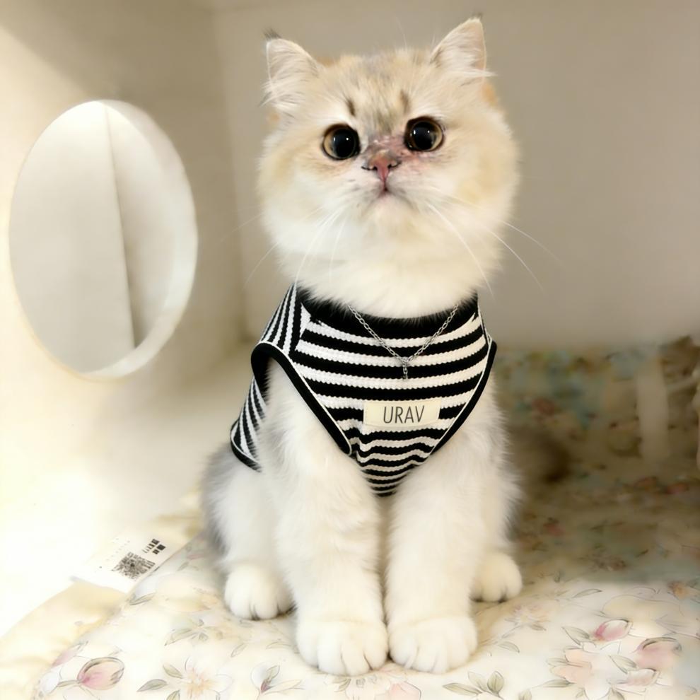 Cat clothes spring and summer thin waffle striped shirt vest German cat hairless cat kitten kitten anti-hair loss