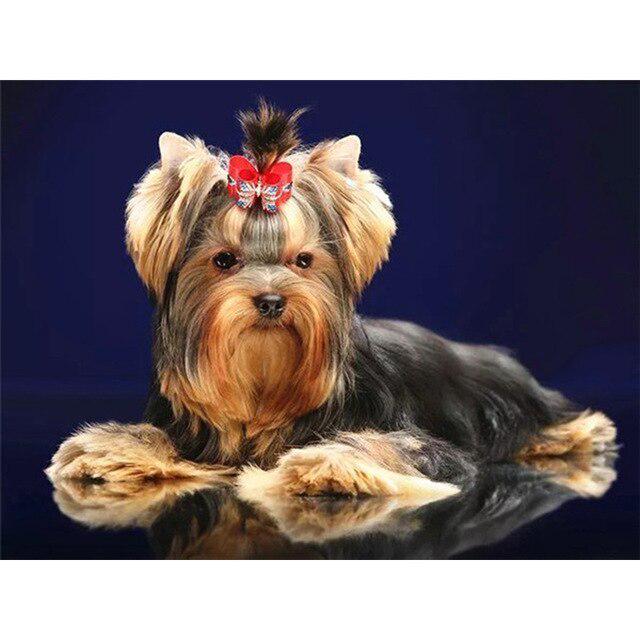 DIY 5D Алмазная картина Собака Вышивка крестиком Алмазная вышивка Продажа Животное Мозаика Стразы Фотографии