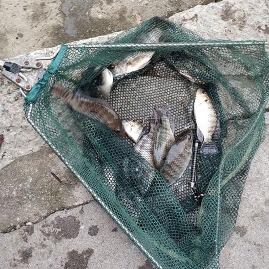 Автоматический рыболовный крючок, высокоэластичный, полноскоростной, пружинный рыболовный крючок из нержавеющей стали, уличный рыболовный крючок для ловли наживки, рыболовные снасти