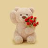 Fragrance of Ever-changing Rose Bear Plush Toy Confession Doll 520 Valentine's Day Gift Hat Flower Teddy Bear