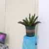 Tropical Plant Artificial Palm Tree Branch Large Coconut Tree Leafs  Home Garden Decor