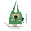 Breathable Cat Carrier Handbag for Shopping and Hiking