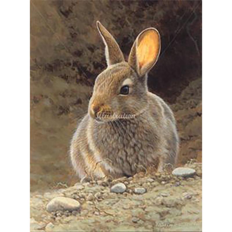 DIY Rabbit 5D Diamond Painting Full Round Drill Animals Diamond Embroidery Cross Stitch Mosaic Resin Wall Art Home Decor Gift