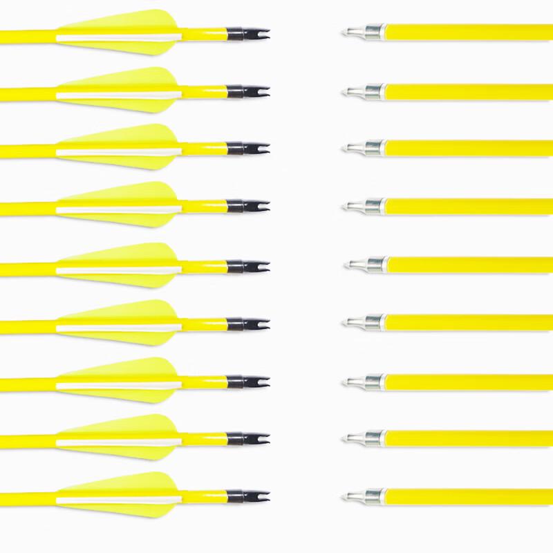 Professional Archery Replacement Arrow