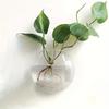 Wall Hanging Glass Plant Terrarium Container Propagation Station Wall-Mounted Flower Vases Air Plant Terrarium Home Office Decor
