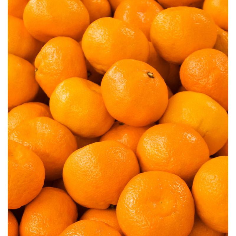 Парфюмированная вода Yodeyma Metal Sport для мужчин 100мл