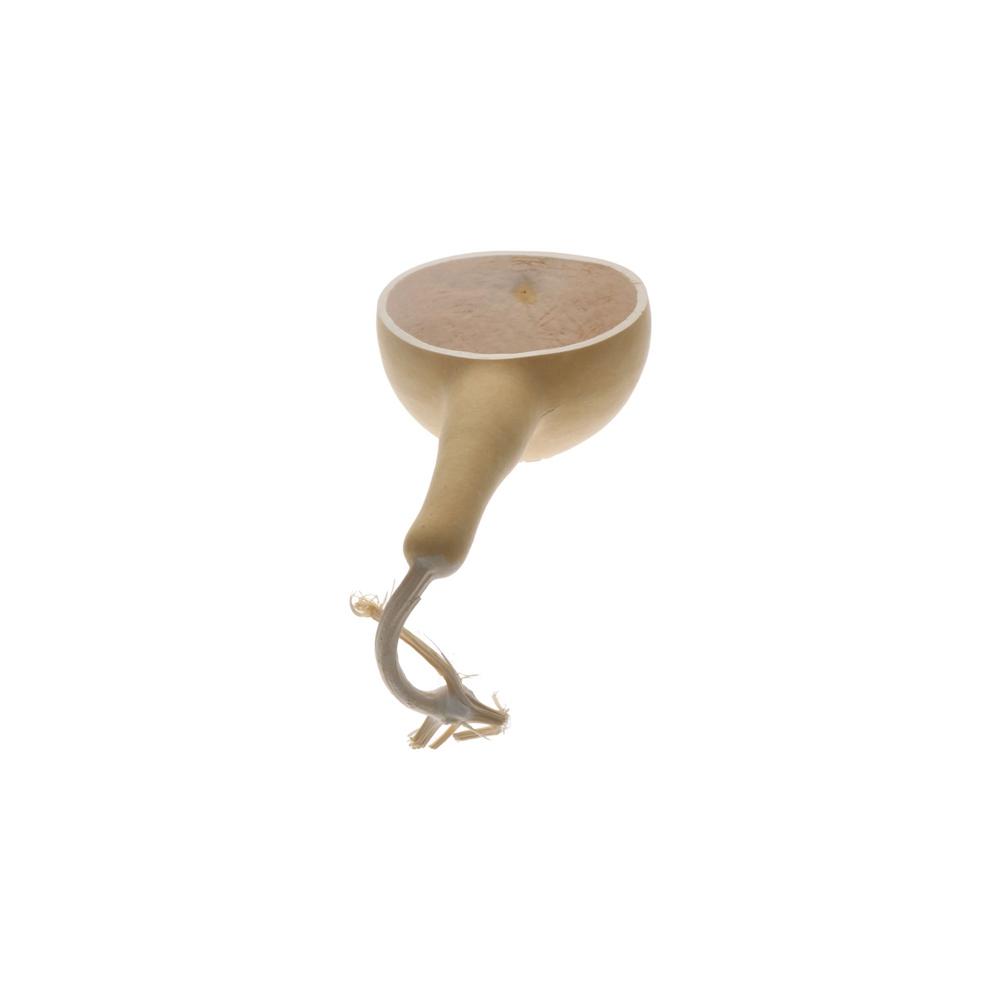 Bamboo Retro High Temperature Resistance Tea Leak Tea Set Handmade Tea Leak Tea Strainer