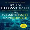 The Near Death Experience by John Ellsworth Paperback Book 9781036700232