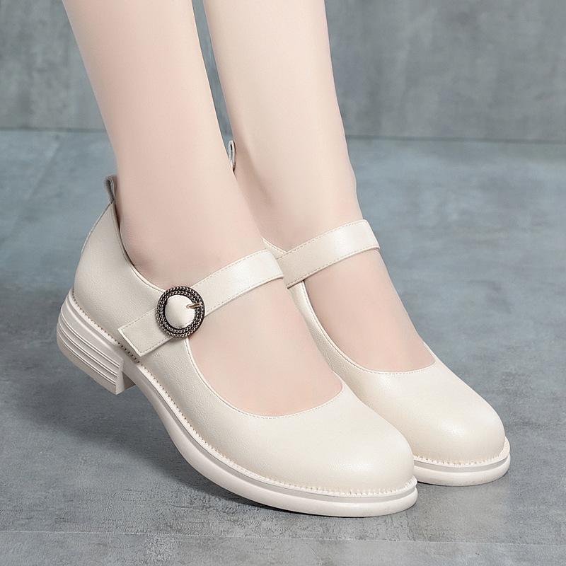 New Spring Summer Women Shoes Elegant Shallow Mouth Round Toe Square Heel Casual Women's Shoes Comfortable Soft Sole