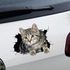 3D Стикер с рисунком кота для Автомобильного Окна Бампера Милый Стайлинг Кузова Автомобиля Устойчивый к Царапинам Декор для Мотоциклов Автомобилей Ноутбуков