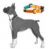 COMFORTABLE adjustable collar for medium terrier dogs / 25 Ukory YELLOW