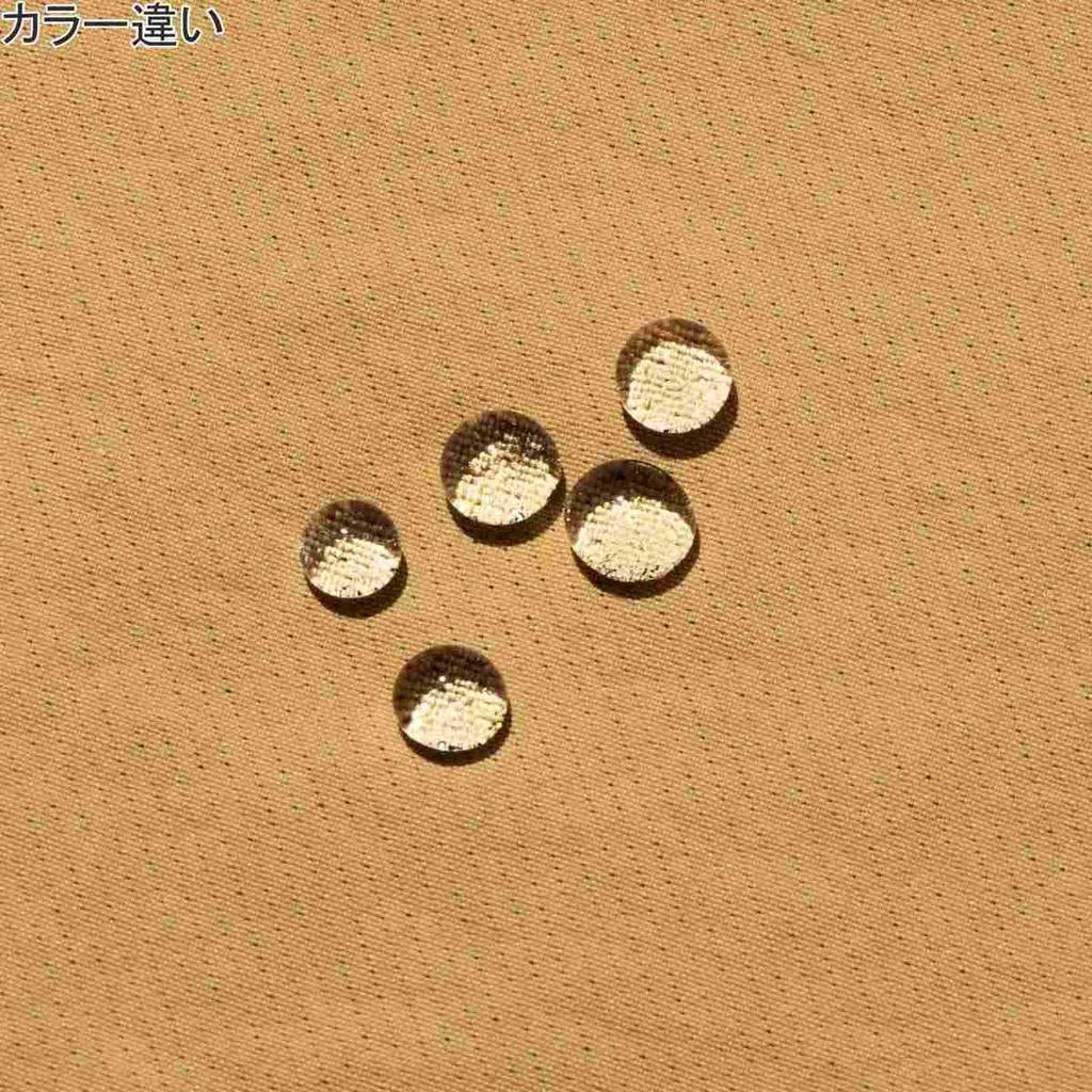 The North Face Free Run Size S Shorts, Women's, Water-Repellent, Running, Black,