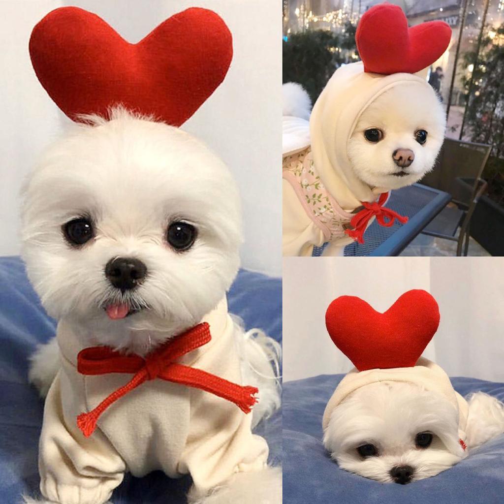 Тёплая толстовка для длмашних питомцев