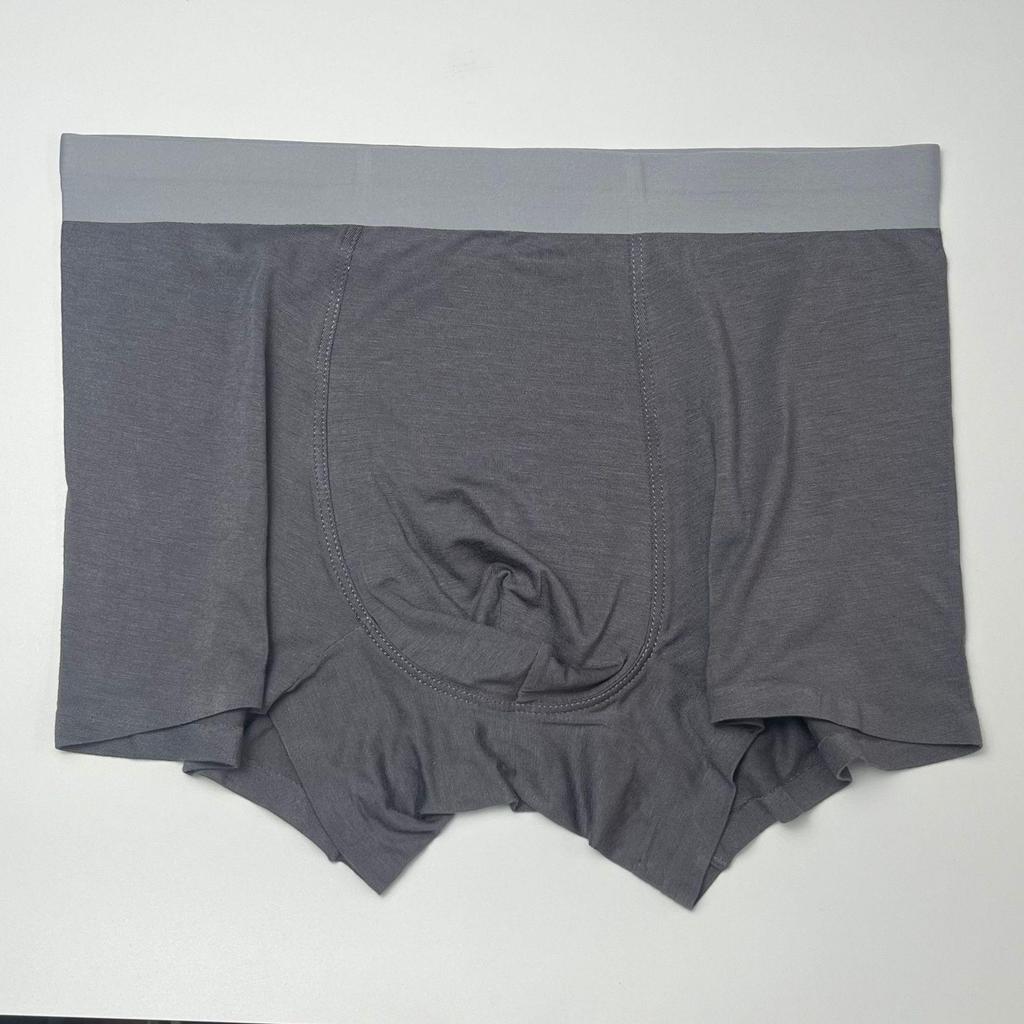 Men's Seamless Modal Boxer Briefs with Antibacterial Crotch - 2025 Edition, In Stock