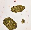 Osulloc Matcha Granola Cookie 120g – Crunchy Matcha Snack