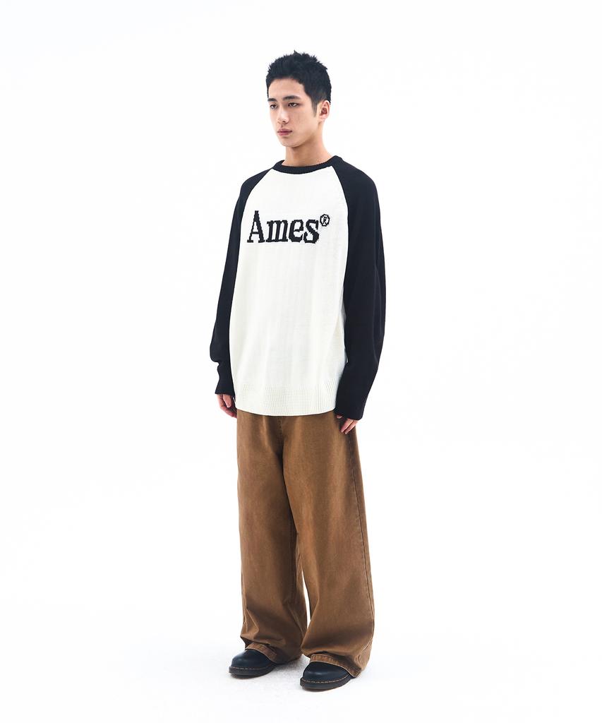 AMES-WORLDWIDE Basic Raglan Pullover Knit Ivory