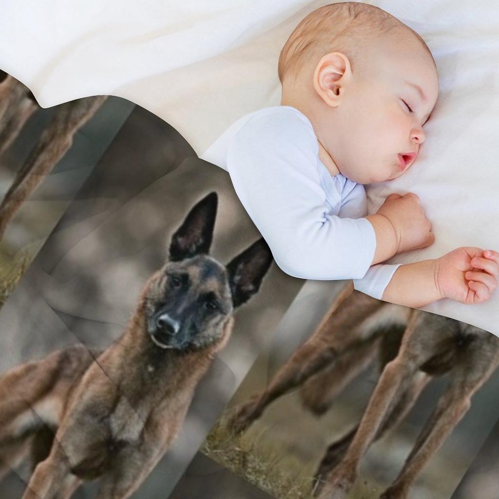 Бельгийская овчарка малинуа удивительный плед теплый зимний многоцелевой пушистый полярный плед