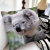 Cute Koala Pillow Case Fashion Square Pillowcase Bedroom Sofa Room Ins Decoration Leisure