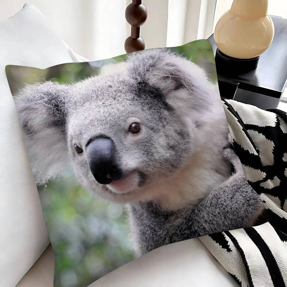 Cute Koala Pillow Case Fashion Square Pillowcase Bedroom Sofa Room Ins Decoration Leisure