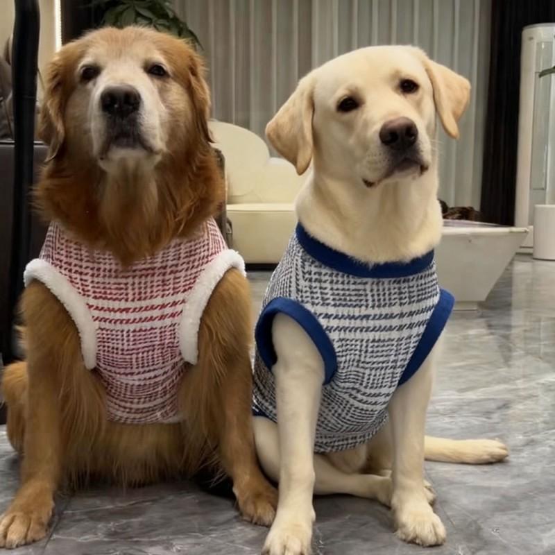 Winter Thick Warm Dog Coat Large Breeds Husky Samoyed Golden Retriever 2-Legged Pet Sweater In Red Blue