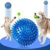 Pet Dog Toys Cat Puppy Sounding Toy Polka Squeaky Tooth Cleaning Ball TPR Training Pet Teeth Chewing Toy Thorn Balls Accessories