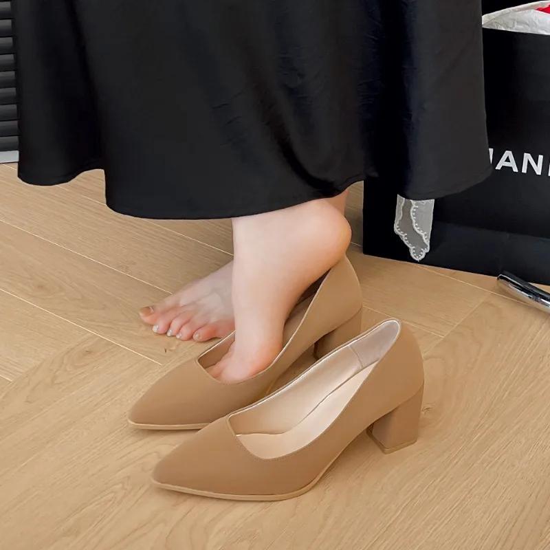 Ladies Shoes 2024 Fashion One Kick Women's Pumps Spring Autumn Pointed Toe Solid Dress Chunky Heels Shallow Plus Size Shoes