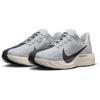 Nike Кроссовки Pegasus Plus Унисекс Светло-серые FQ7262-017