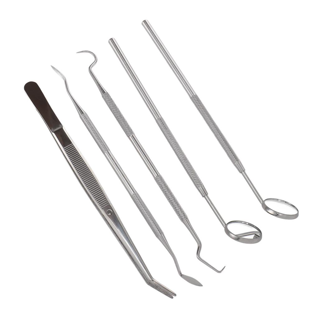 5 шт. профессиональные инструменты для ухода за полостью рта из нержавеющей стали, инструмент для удаления зубного камня и чистки зубов