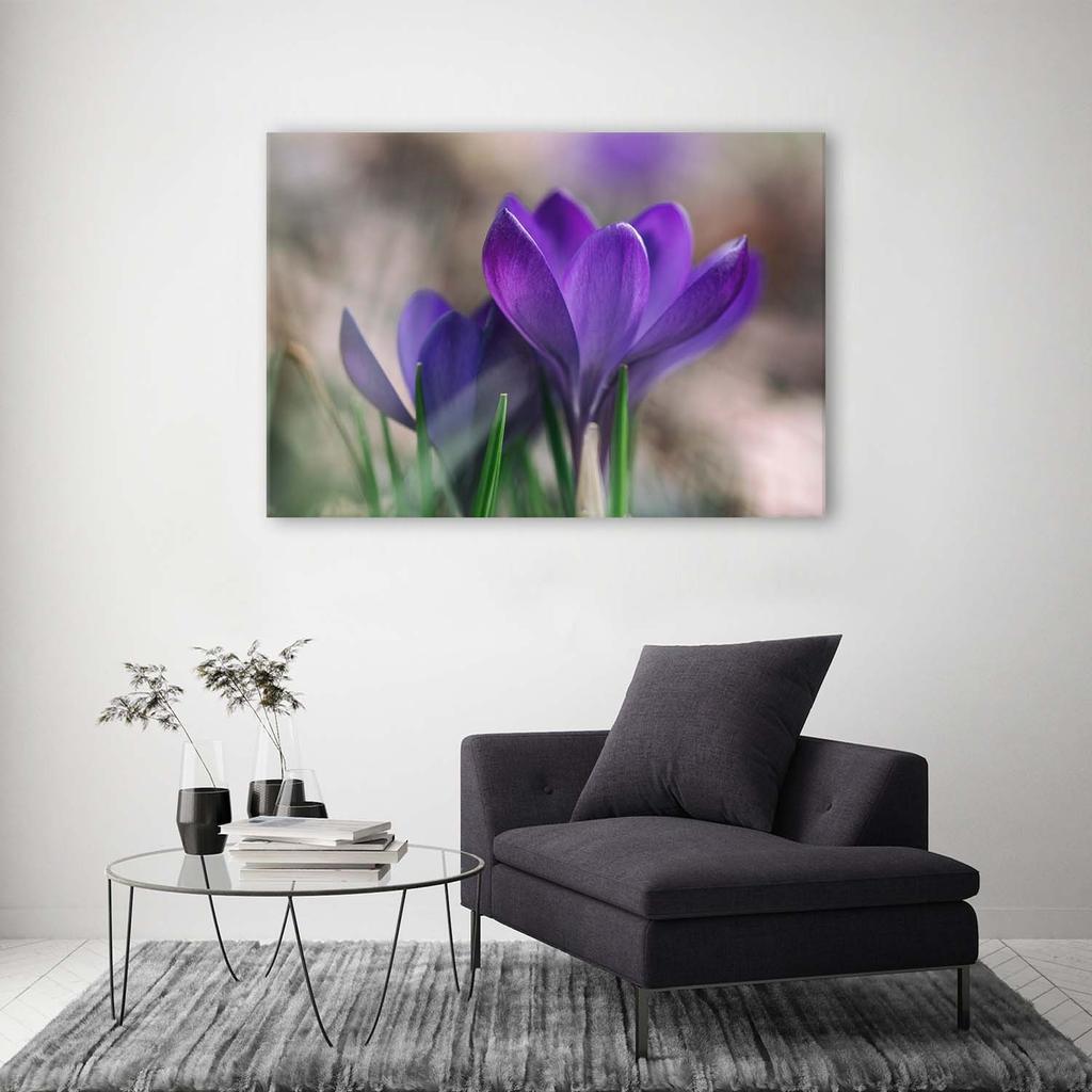 Canvas print, Spring crocuses