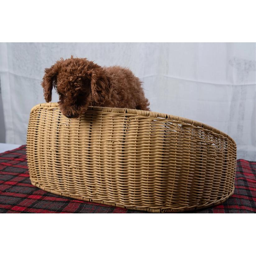 for Summer Cool Handwoven PP Plastic Rattan Resin Wicker Cat Dog Bed House Net Waterproof Cooling Oval Shape Woven Basket