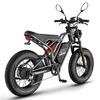 Электровелосипед FAFREES F20 Ultra, двигатель 750 Вт, аккумулятор 48 В 25 Ач, толстые шины 20*5,0 дюймов, механические тормоза, запас хода 80-100 км, электровелосипед с двойной подвеской