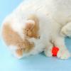 Interactive Cat Toys For Creative Kittens: Launch Training, Mini Pompoms Games, Stretch Plush Ball & More!