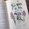 [Б/У] Иностранные книги Немецкие энциклопедии растений Винтажные книги Ботанические
