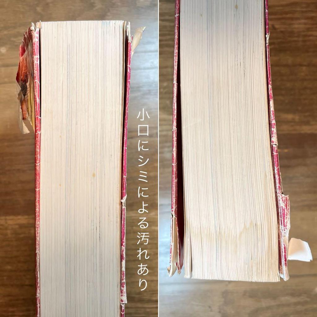 [USED] Masami ~ Japanese Dyeing Patterns Kyoto Shoin Textile