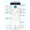 Remote WIFI Thermostat High Precision Temperature Controller Module Cooling And Heating APP Collection