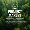 Беспроводная колонка книжной полки The House of Marley GET TOGETHER DUO 20 часов непрерывного воспроизведения Signature Black []