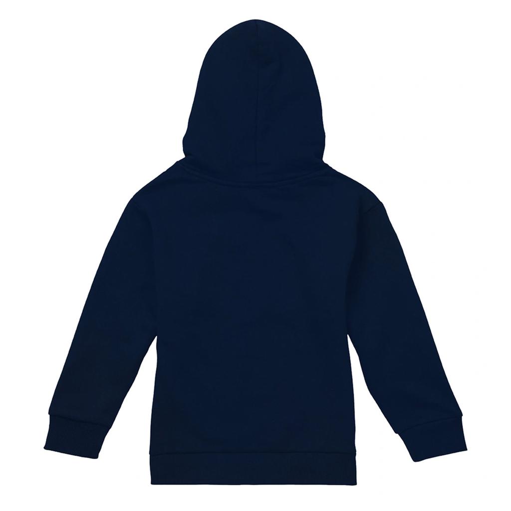 Pink Floyd Childrens/Kids Moon Hoodie