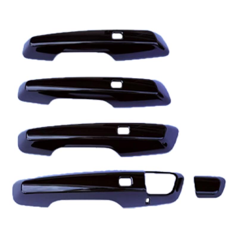 2025 Honda Prologue Door Bowl and Handle Protector Set